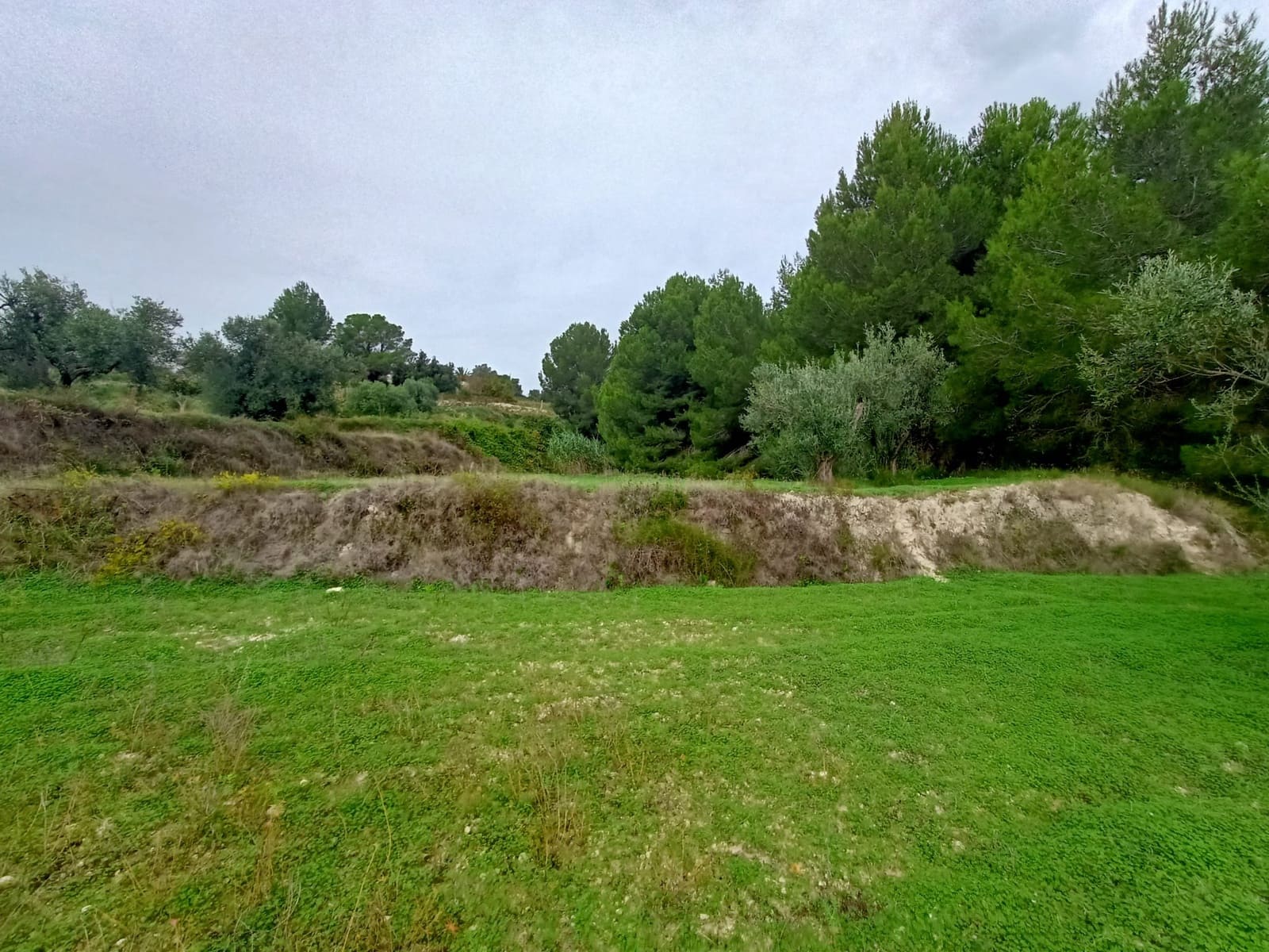 Mark till salu i Benissa - 195 000 € (Ref: 9242113)