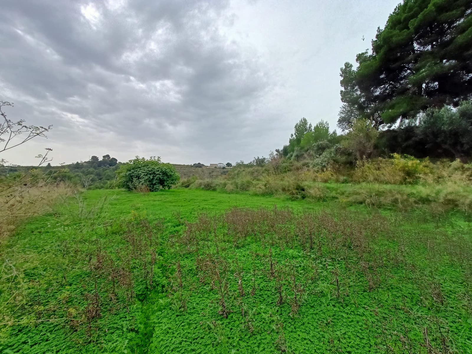 Mark till salu i Benissa - 195 000 € (Ref: 9242113)