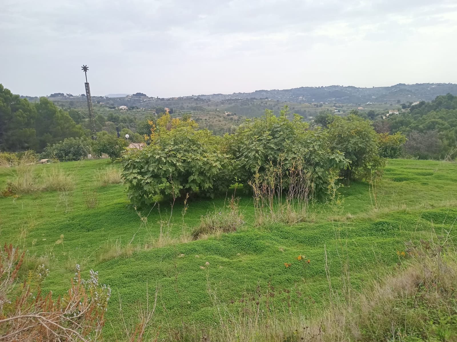 Mark till salu i Benissa - 195 000 € (Ref: 9242113)