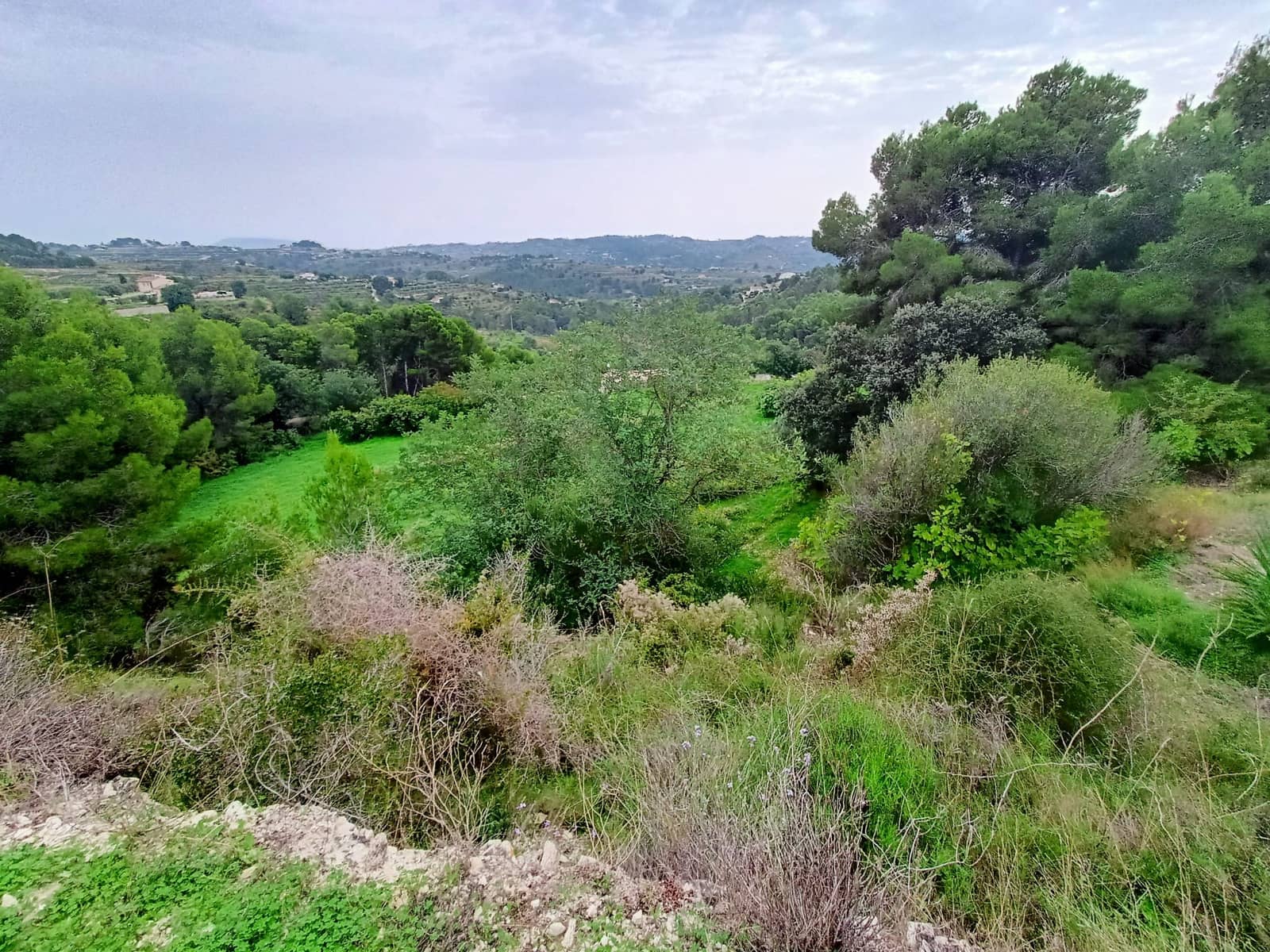 Mark till salu i Benissa - 195 000 € (Ref: 9242113)