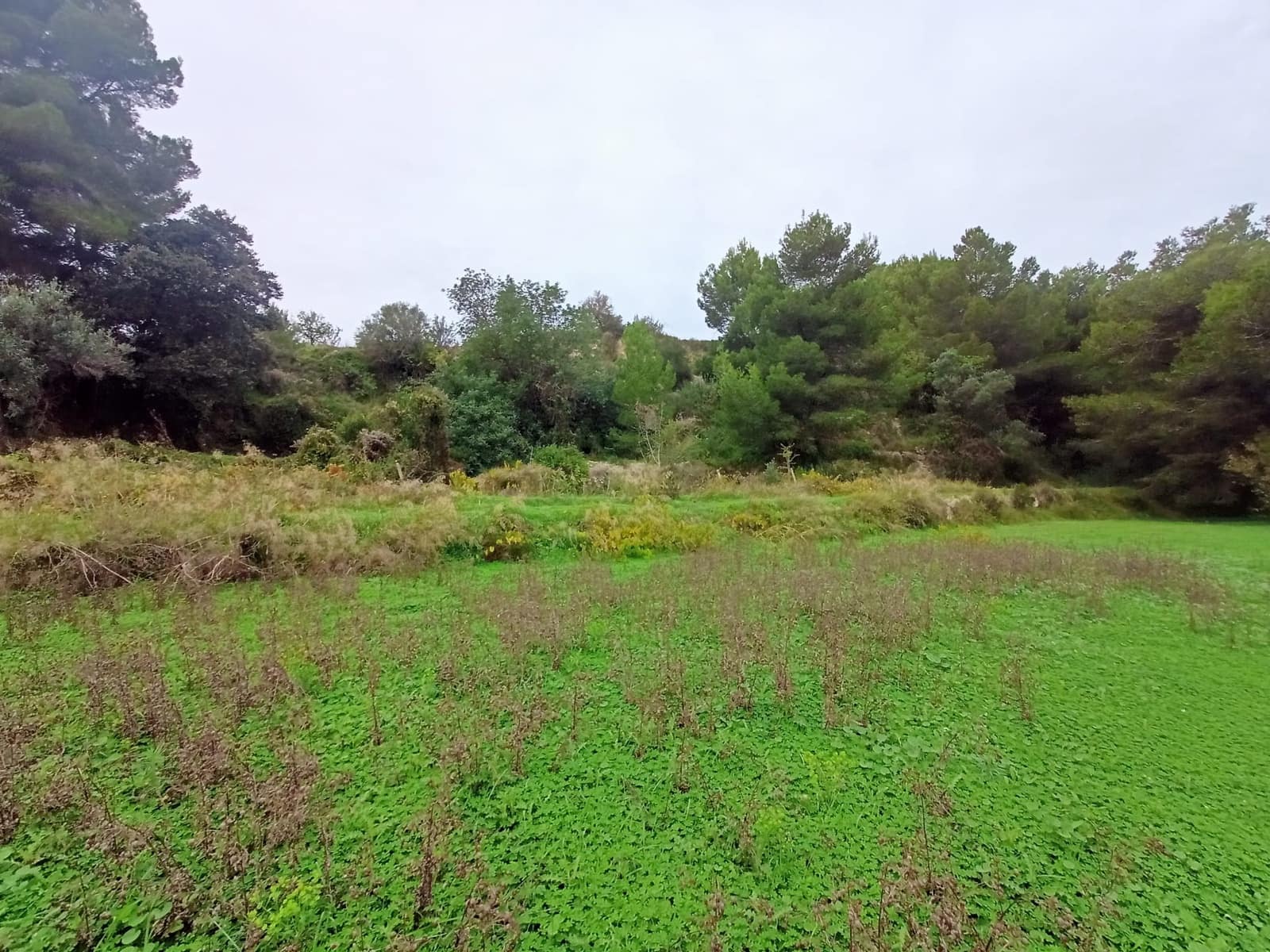 Mark till salu i Benissa - 195 000 € (Ref: 9242113)