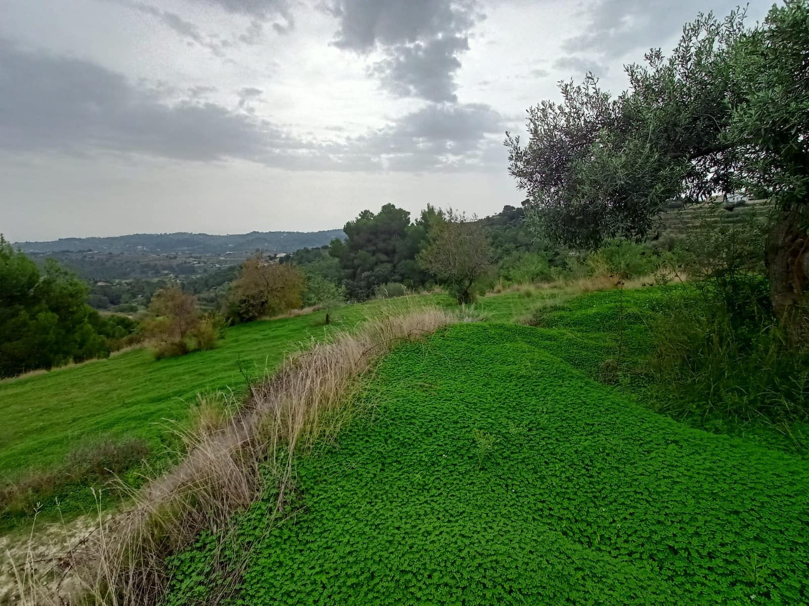 Mark till salu i Benissa - 195 000 € (Ref: 9242113)