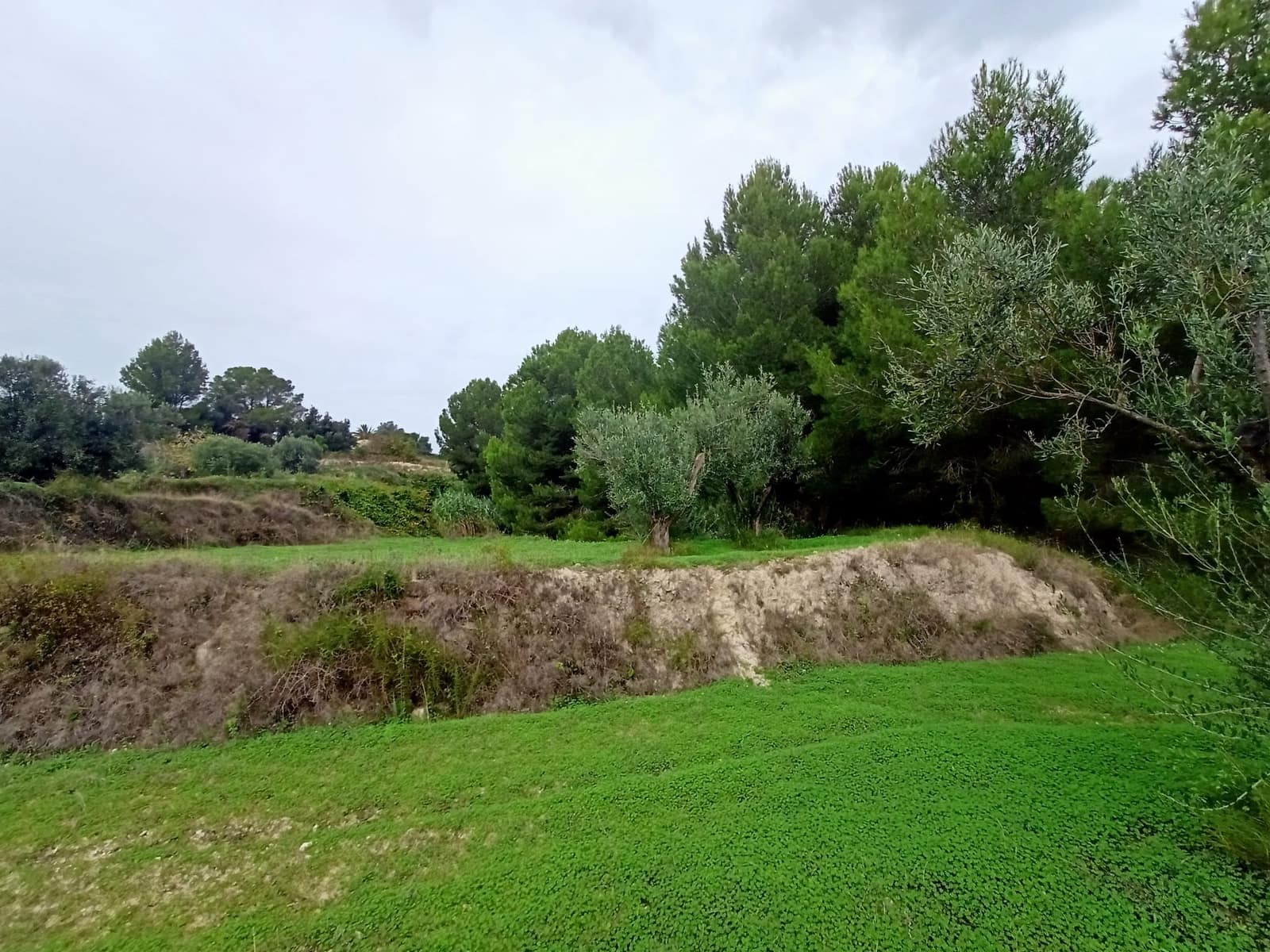 Mark till salu i Benissa - 195 000 € (Ref: 9242113)