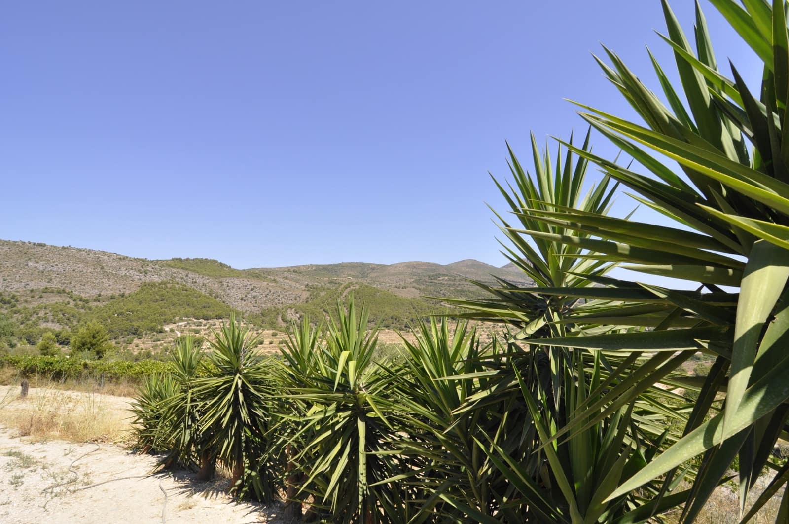 9 sypialnia Willa na sprzedaż w Benissa z basenem - 680 000 € (Ref: 9242120)