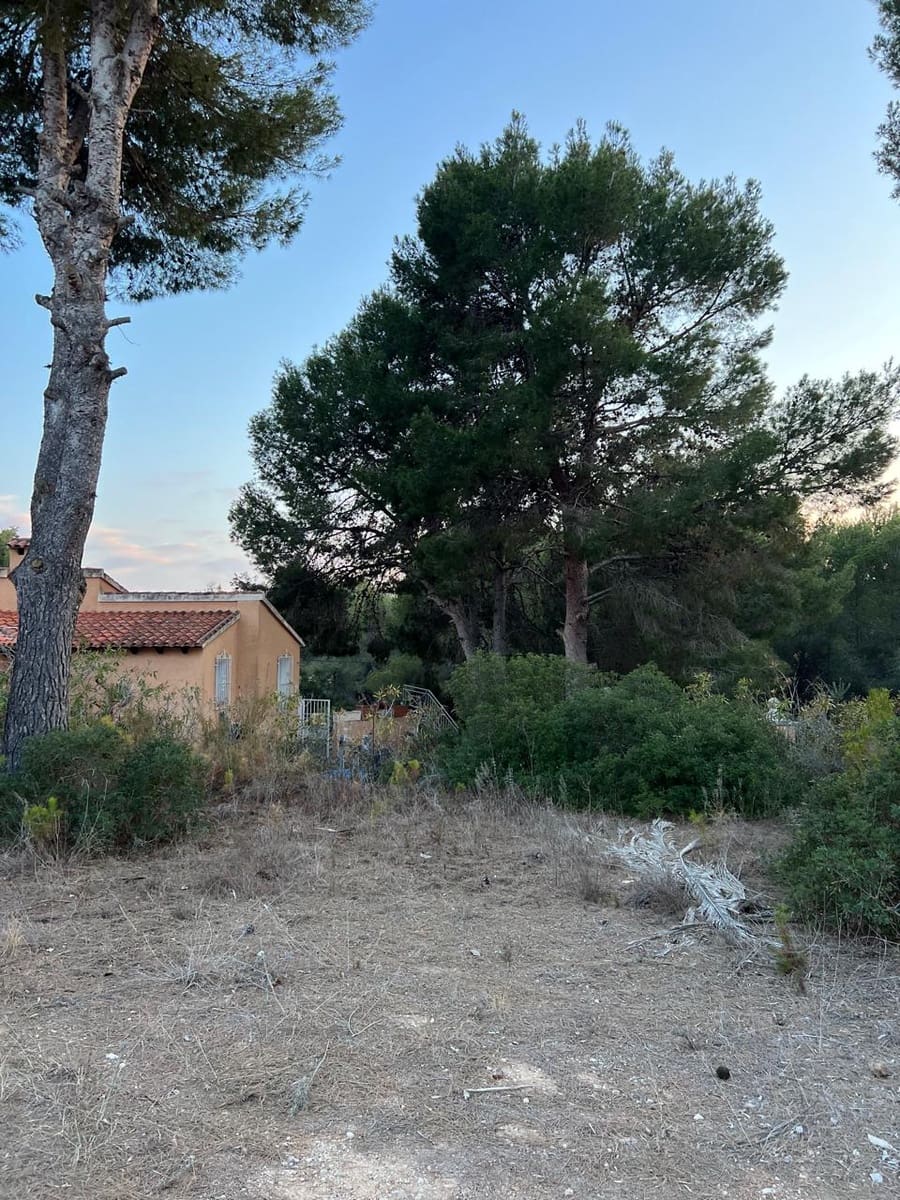 Terreno/Finca Rústica en Benissa en venta - 370.000 € (Ref: 9242134)