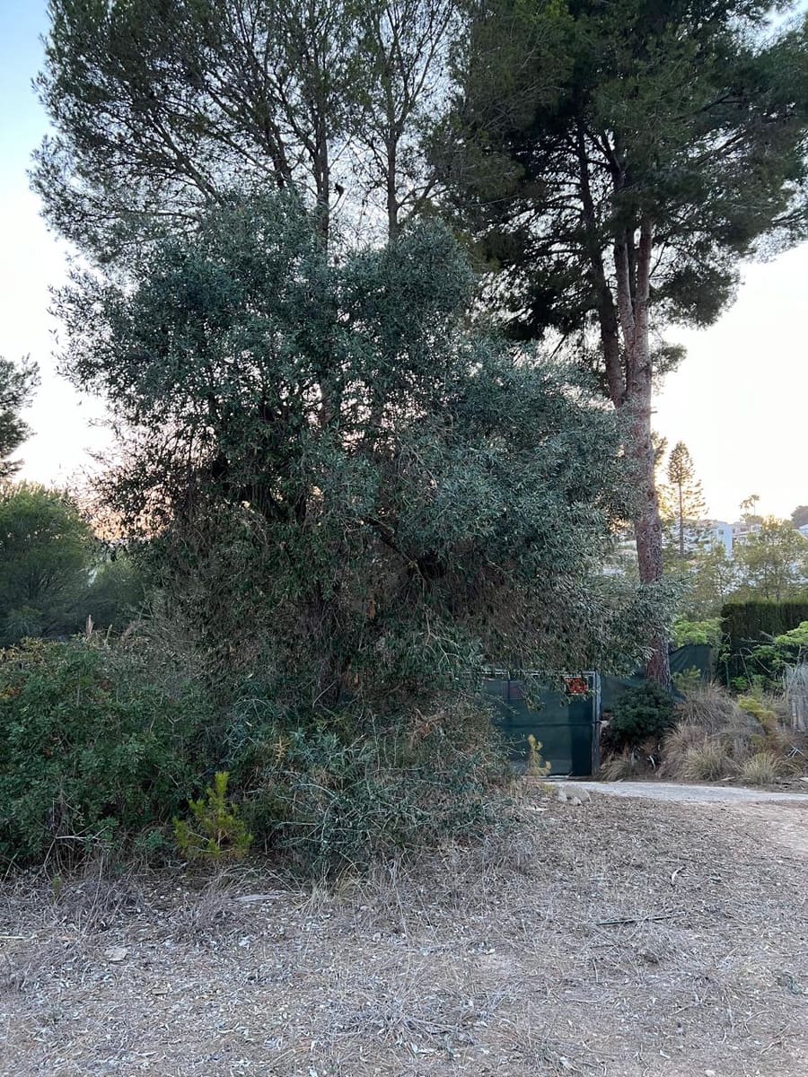 Terreno/Finca Rústica en Benissa en venta - 370.000 € (Ref: 9242134)