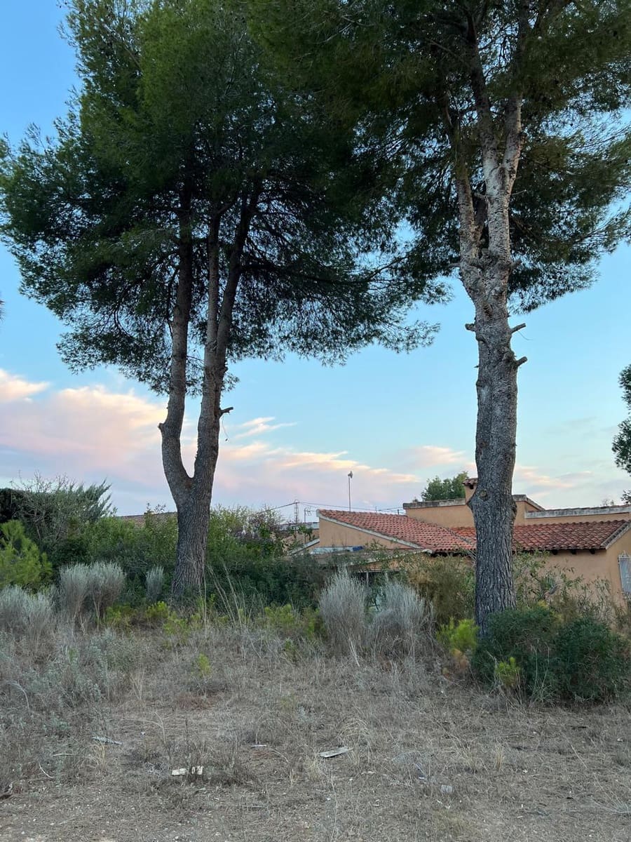 Terreno/Finca Rústica en Benissa en venta - 370.000 € (Ref: 9242134)