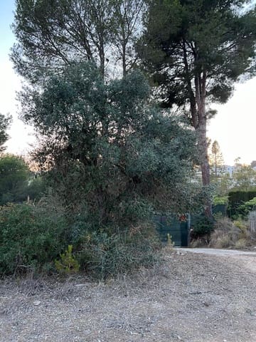 Terreno/Finca Rústica en Benissa en venta - 370.000 € (Ref: 9242134)