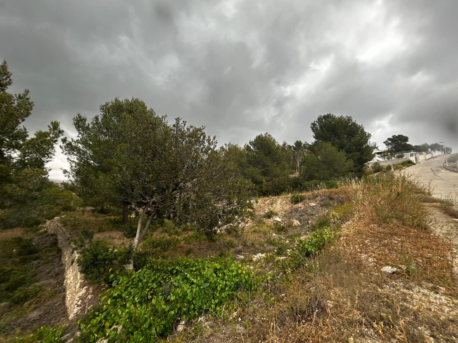 Mark till salu i Calpe / Calp - 140 000 € (Ref: 9242140)