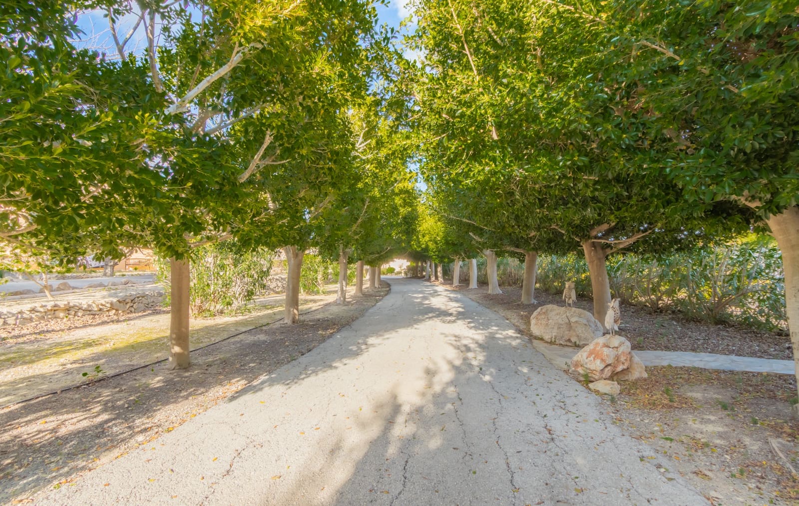 5 Zimmer Villa zu verkaufen in Benissa mit Pool - 1.900.000 € (Ref: 9242174)