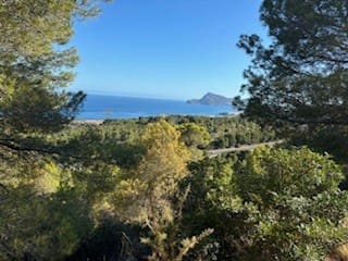 Terre non Aménagée à vendre à Altea - 149 000 € (Ref: 9242198)