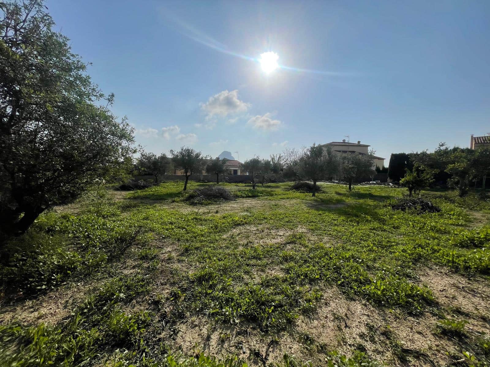 Mark till salu i Calpe / Calp - 265 000 € (Ref: 9242214)