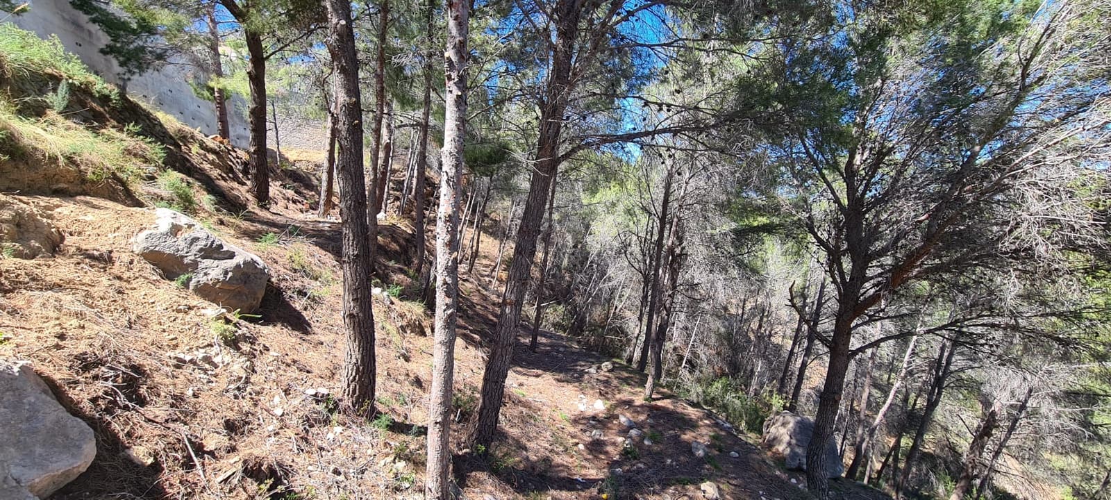 Mark till salu i Calpe / Calp - 595 000 € (Ref: 9242249)