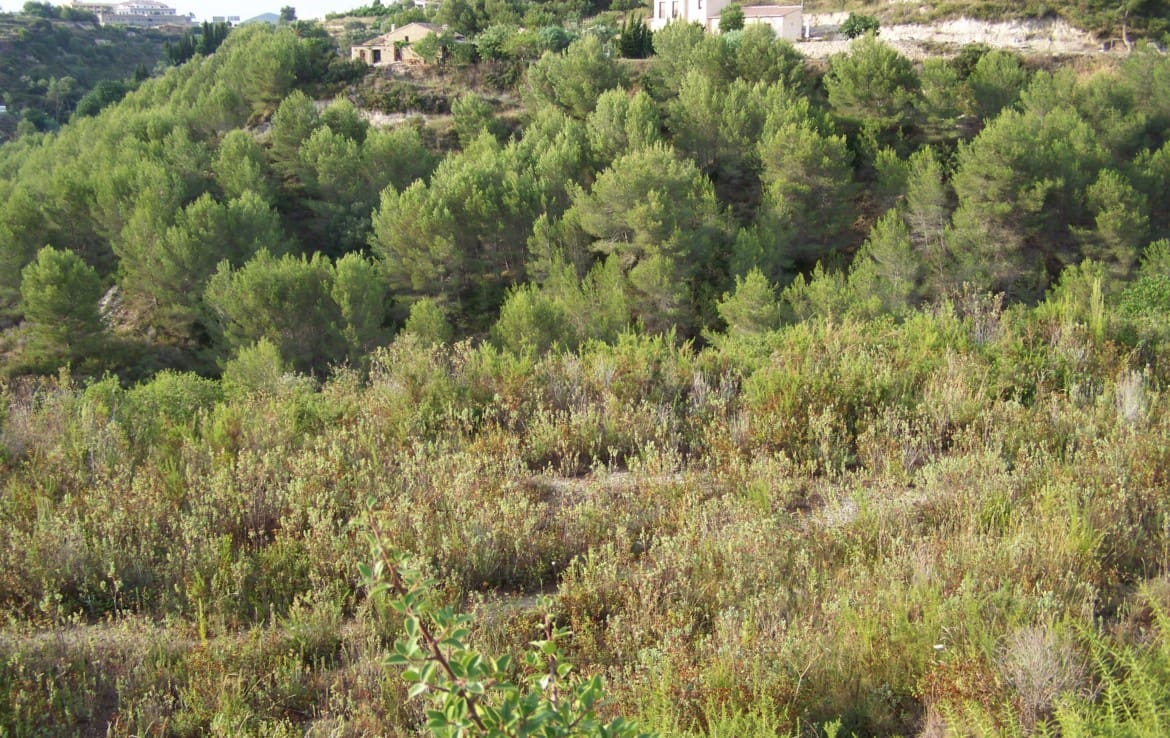 Mark till salu i Benissa - 139 000 € (Ref: 9429439)