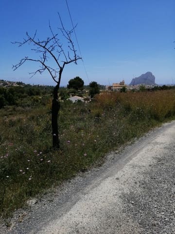 Terre non Aménagée à vendre à Gargasindi, Calpe / Calp - 179 000 € (Ref: 9429450)