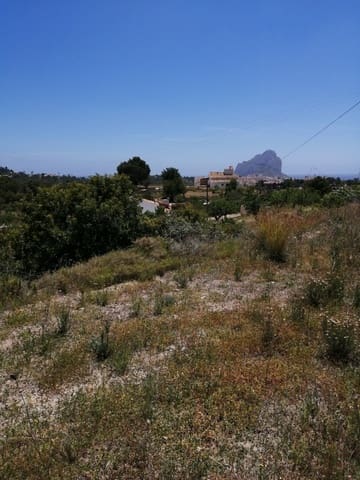 Terre non Aménagée à vendre à Gargasindi, Calpe / Calp - 179 000 € (Ref: 9429450)