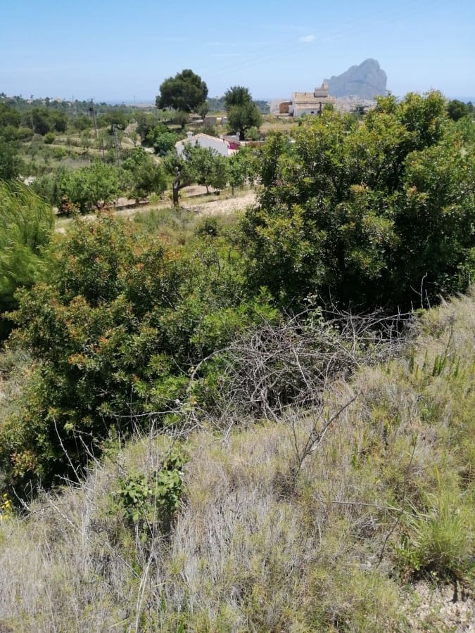 Grond te koop in Calpe / Calp - € 179.000 (Ref: 9429450)