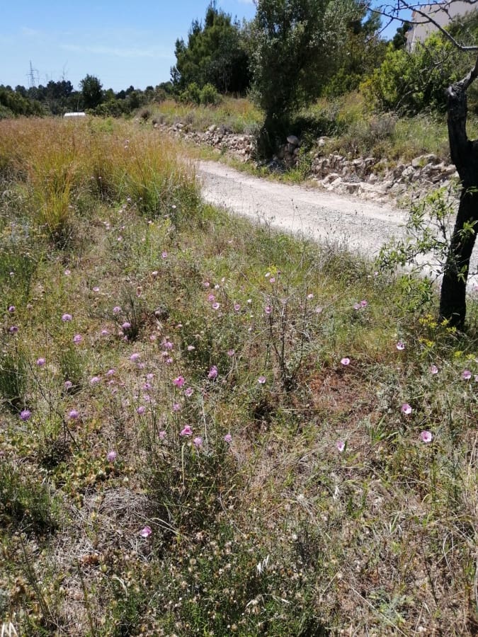 Grond te koop in Calpe / Calp - € 179.000 (Ref: 9429450)