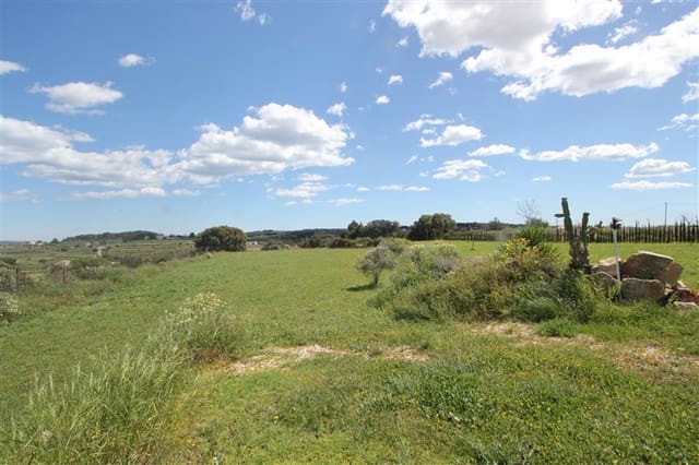 Mark till salu i Benissa - 850 000 € (Ref: 9496877)