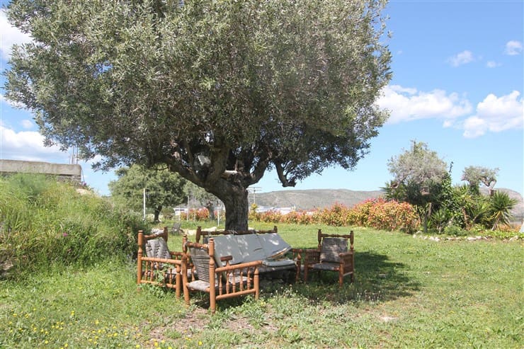 Mark till salu i Benissa - 850 000 € (Ref: 9496877)