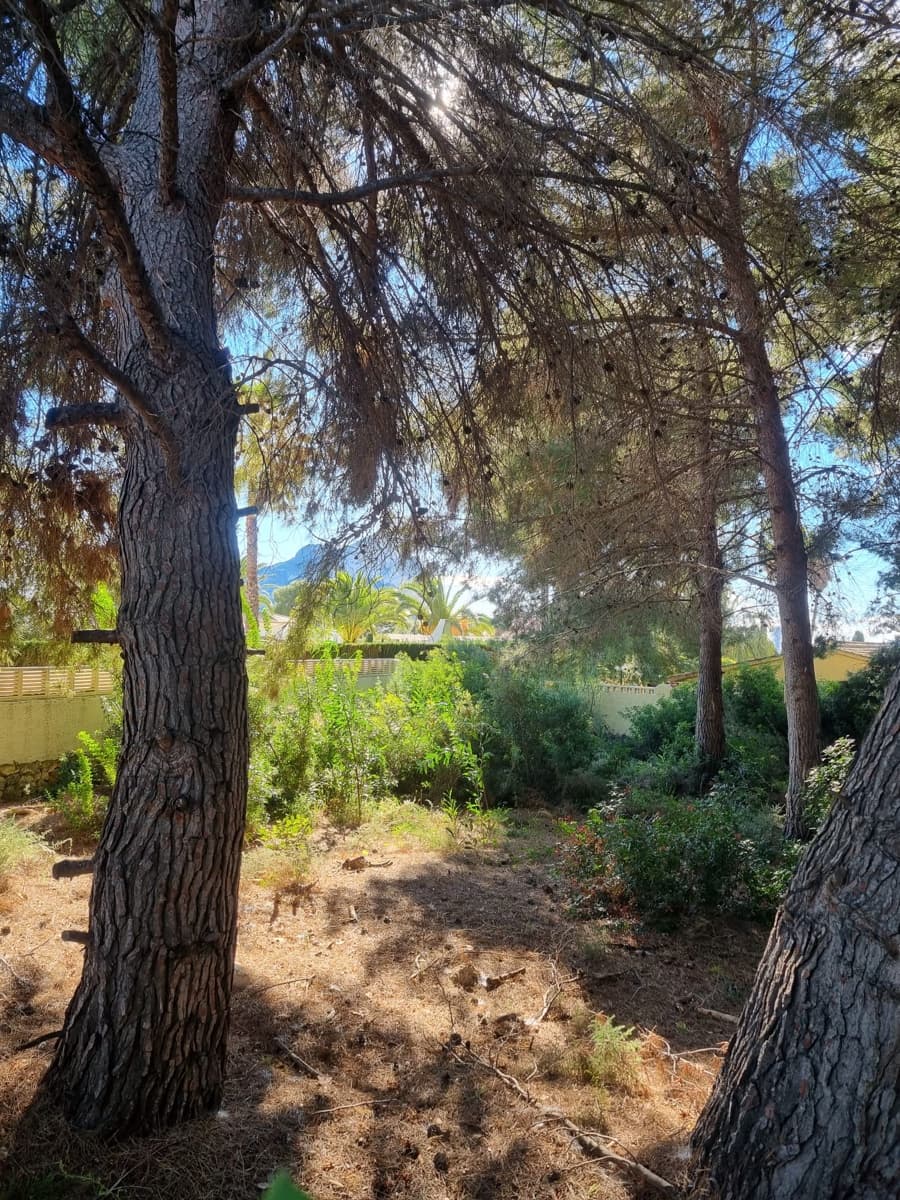 Rakentamaton maa myytävänä paikassa Calpe / Calp - 250 000 € (Ref: 9547616)