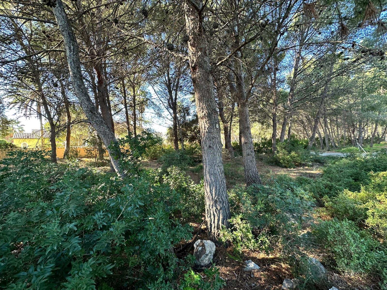 Rakentamaton maa myytävänä paikassa Calpe / Calp - 250 000 € (Ref: 9547616)