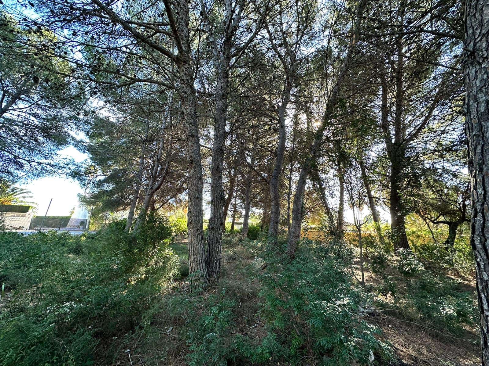 Rakentamaton maa myytävänä paikassa Calpe / Calp - 250 000 € (Ref: 9547616)