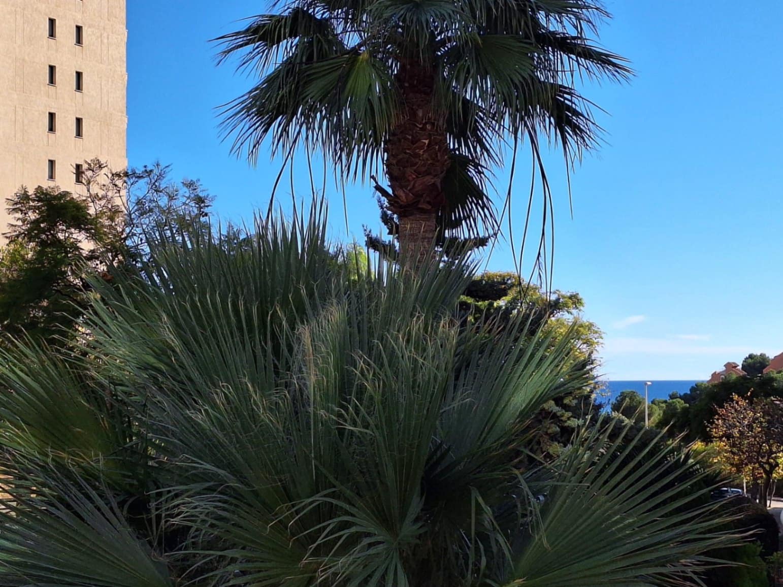 2 soverom Leilighet til salgs i Calpe / Calp med svømmebasseng - € 299 000 (Ref: 9700441)