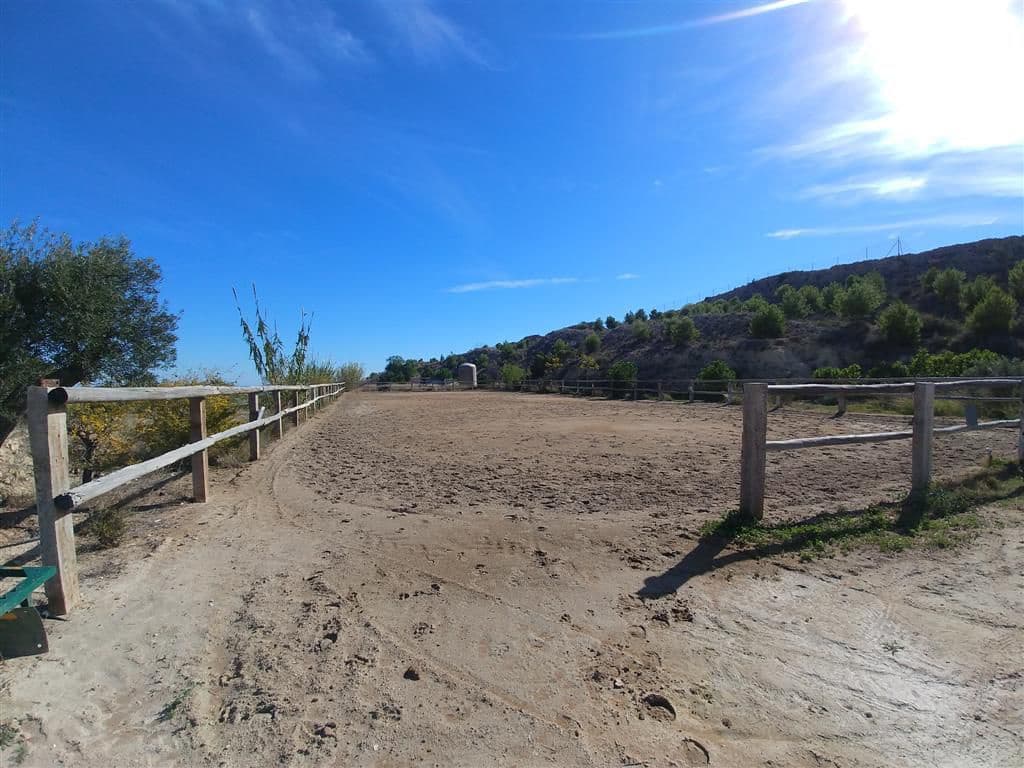 Finca/Country House for sale in Elche / Elx - € 295,000 (Ref: 9794077)