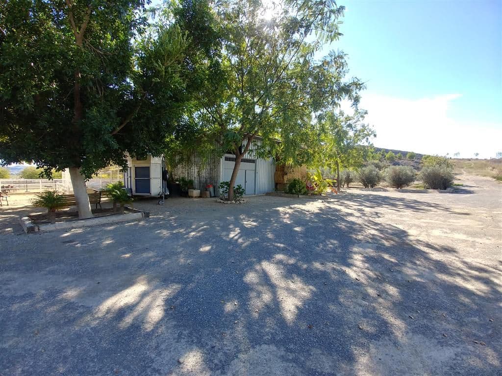 Finca/Country House for sale in Elche / Elx - € 295,000 (Ref: 9794077)