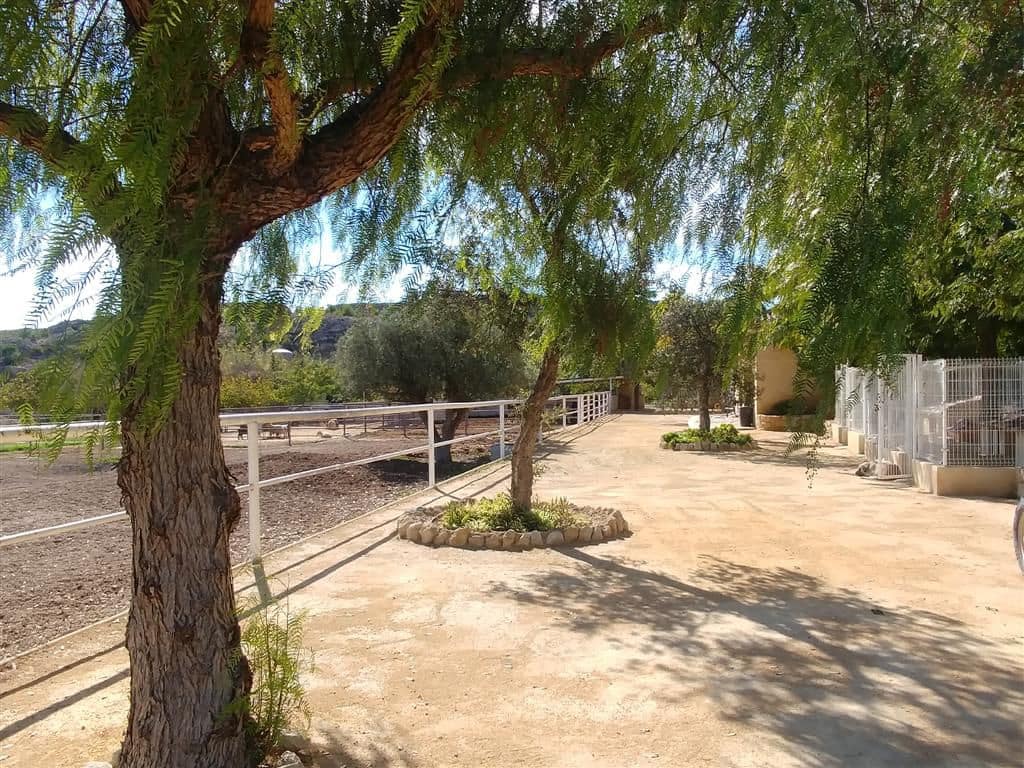 Finca/Country House for sale in Elche / Elx - € 295,000 (Ref: 9794077)