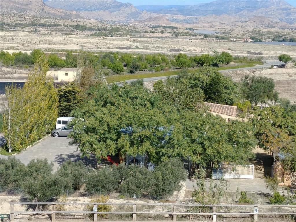 Finca/Country House for sale in Elche / Elx - € 295,000 (Ref: 9794077)