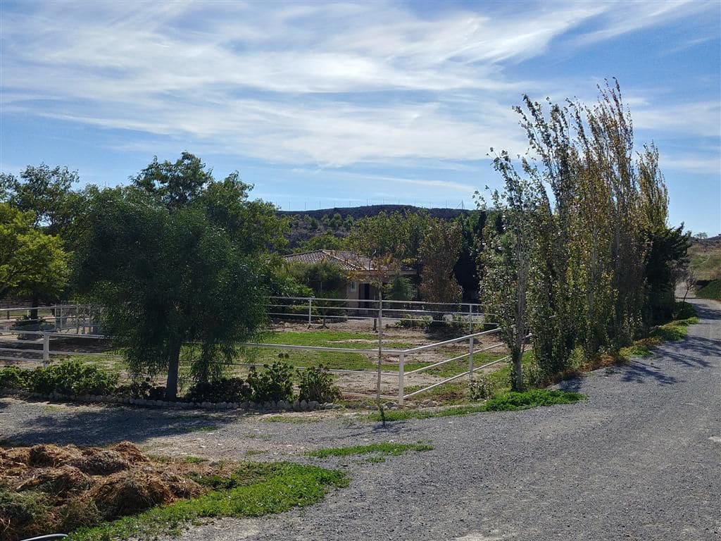 Finca/Country House for sale in Elche / Elx - € 295,000 (Ref: 9794077)