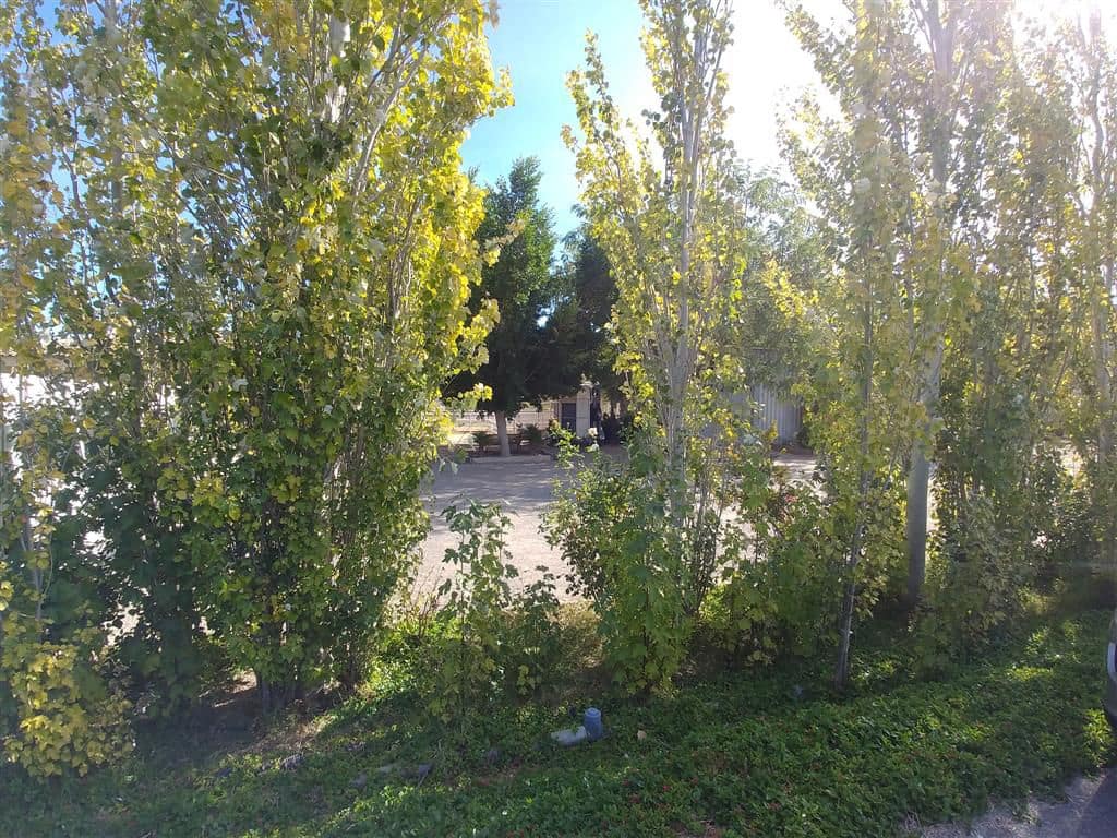 Finca/Country House for sale in Elche / Elx - € 295,000 (Ref: 9794077)