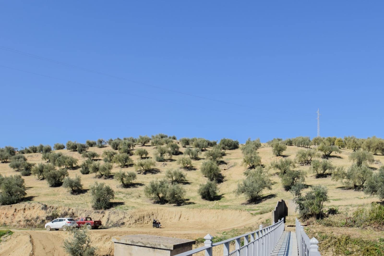 Terre non Aménagée à vendre à Pulianas - 150 000 € (Ref: 8117626)