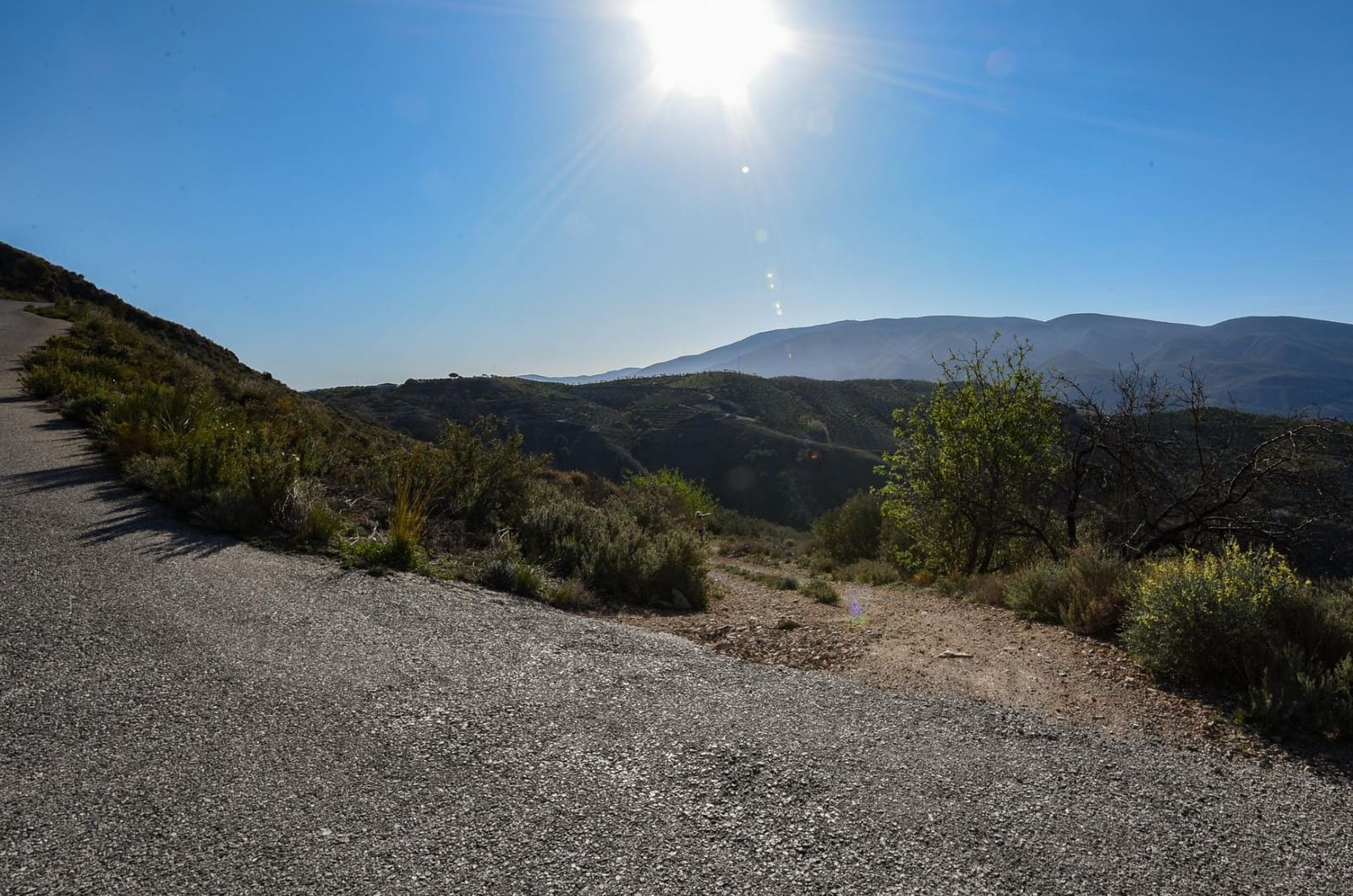 Grunde uden byggetilladelser til salg i Lanjaron - € 35.000 (Ref: 8148337)