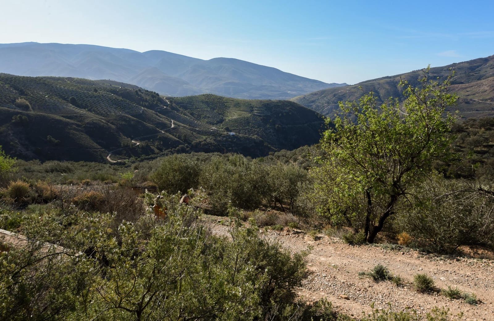 Grunde uden byggetilladelser til salg i Lanjaron - € 35.000 (Ref: 8148337)