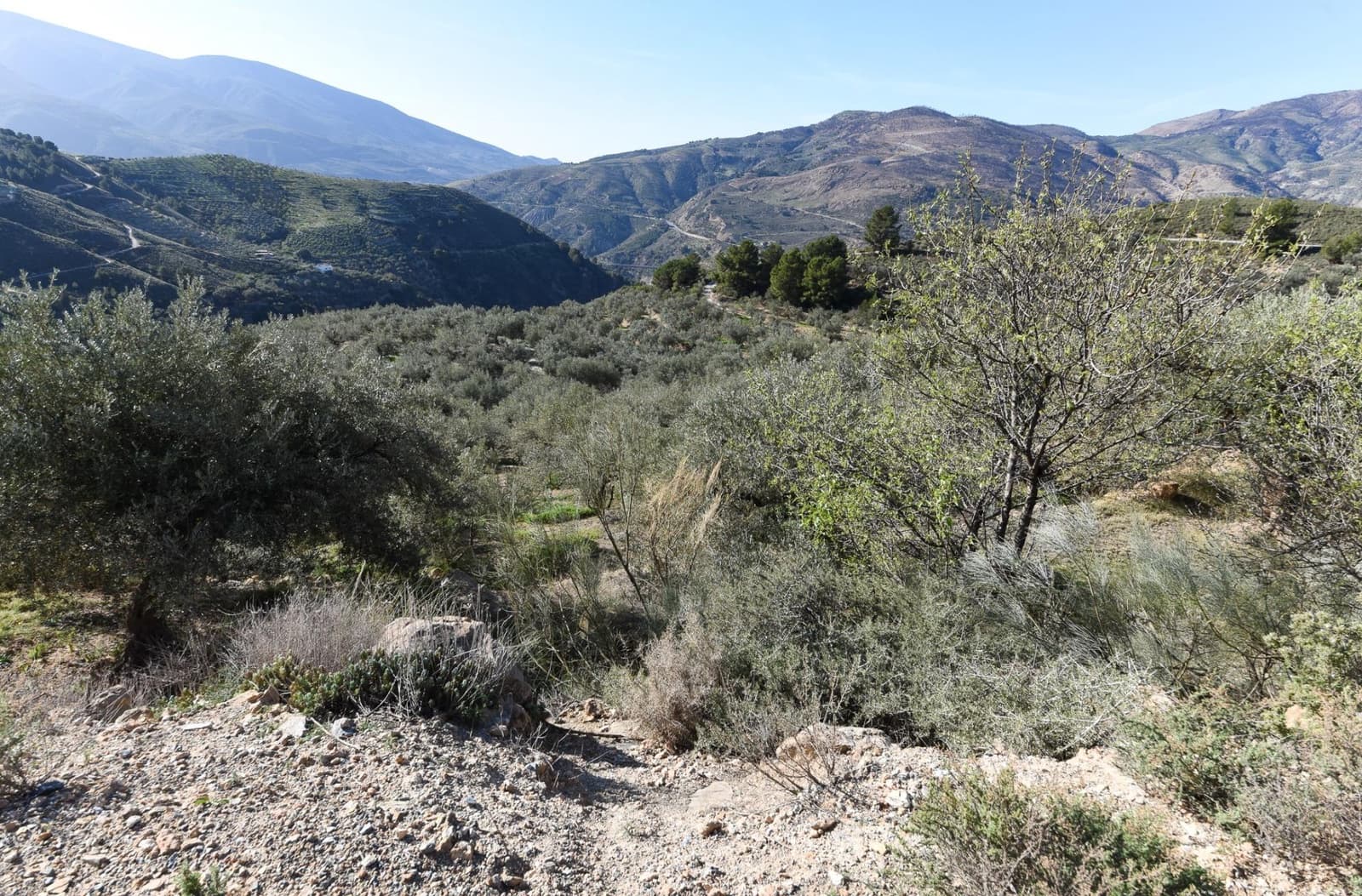 Grunde uden byggetilladelser til salg i Lanjaron - € 35.000 (Ref: 8148337)