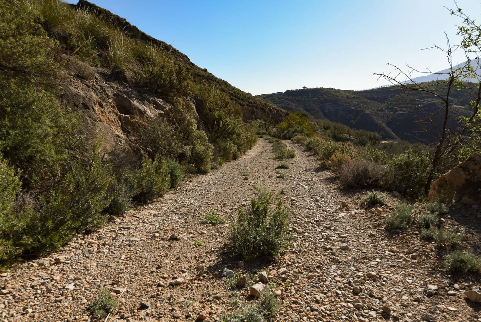 Grunde uden byggetilladelser til salg i Lanjaron - € 35.000 (Ref: 8148337)