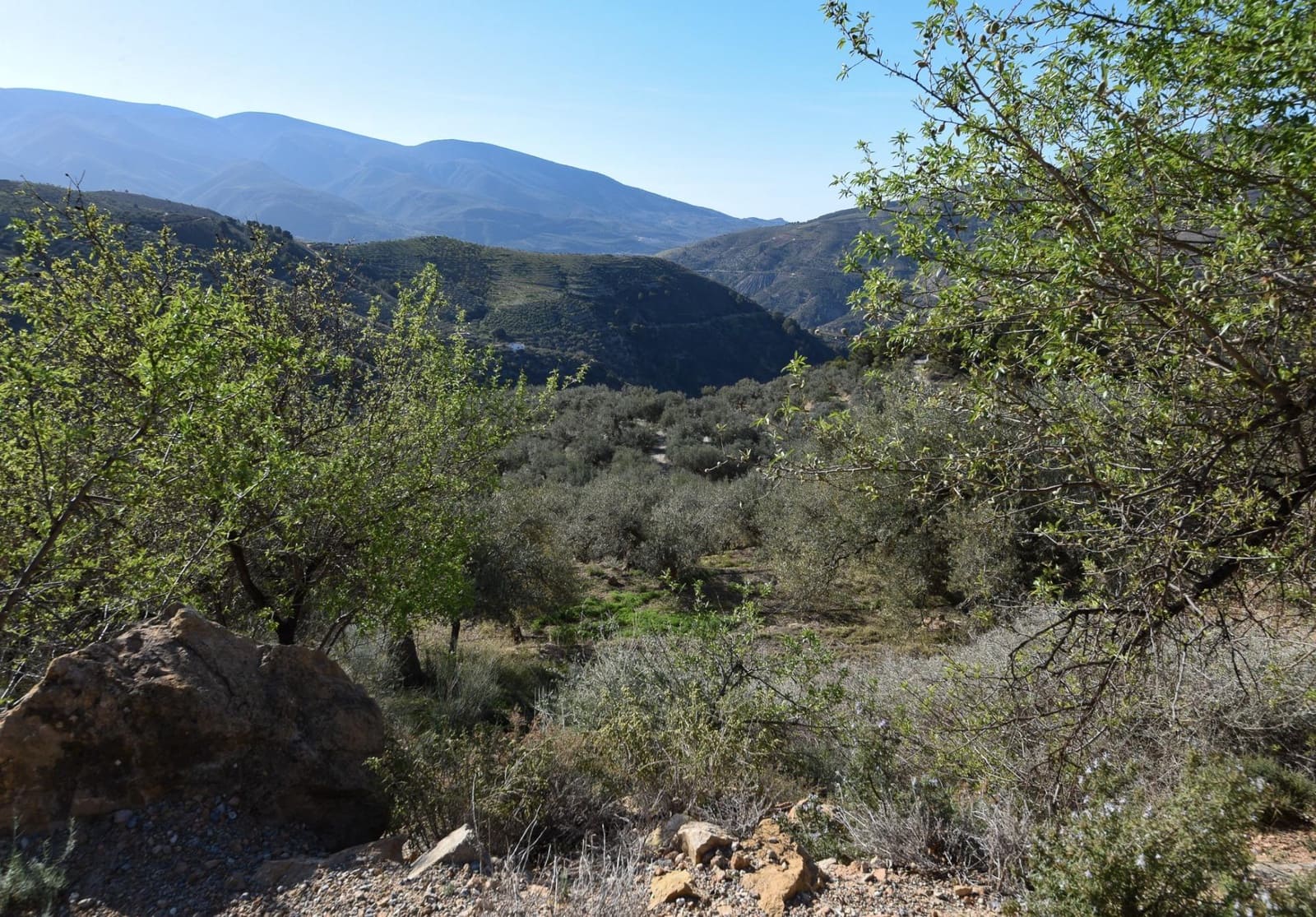 Grunde uden byggetilladelser til salg i Lanjaron - € 35.000 (Ref: 8148337)