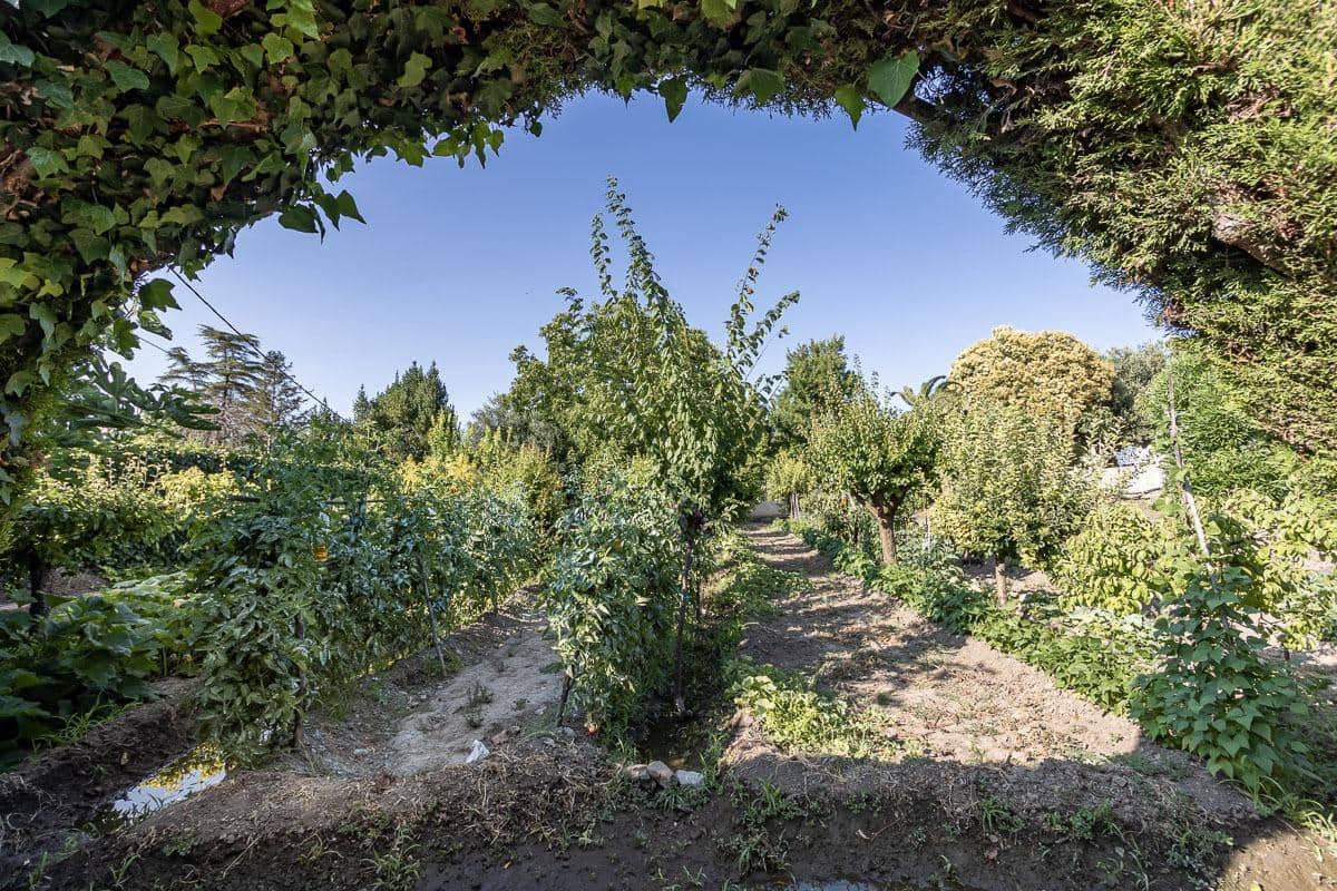 4 Zimmer Villa zu verkaufen in La Zubia mit Pool - 650.000 € (Ref: 8440367)