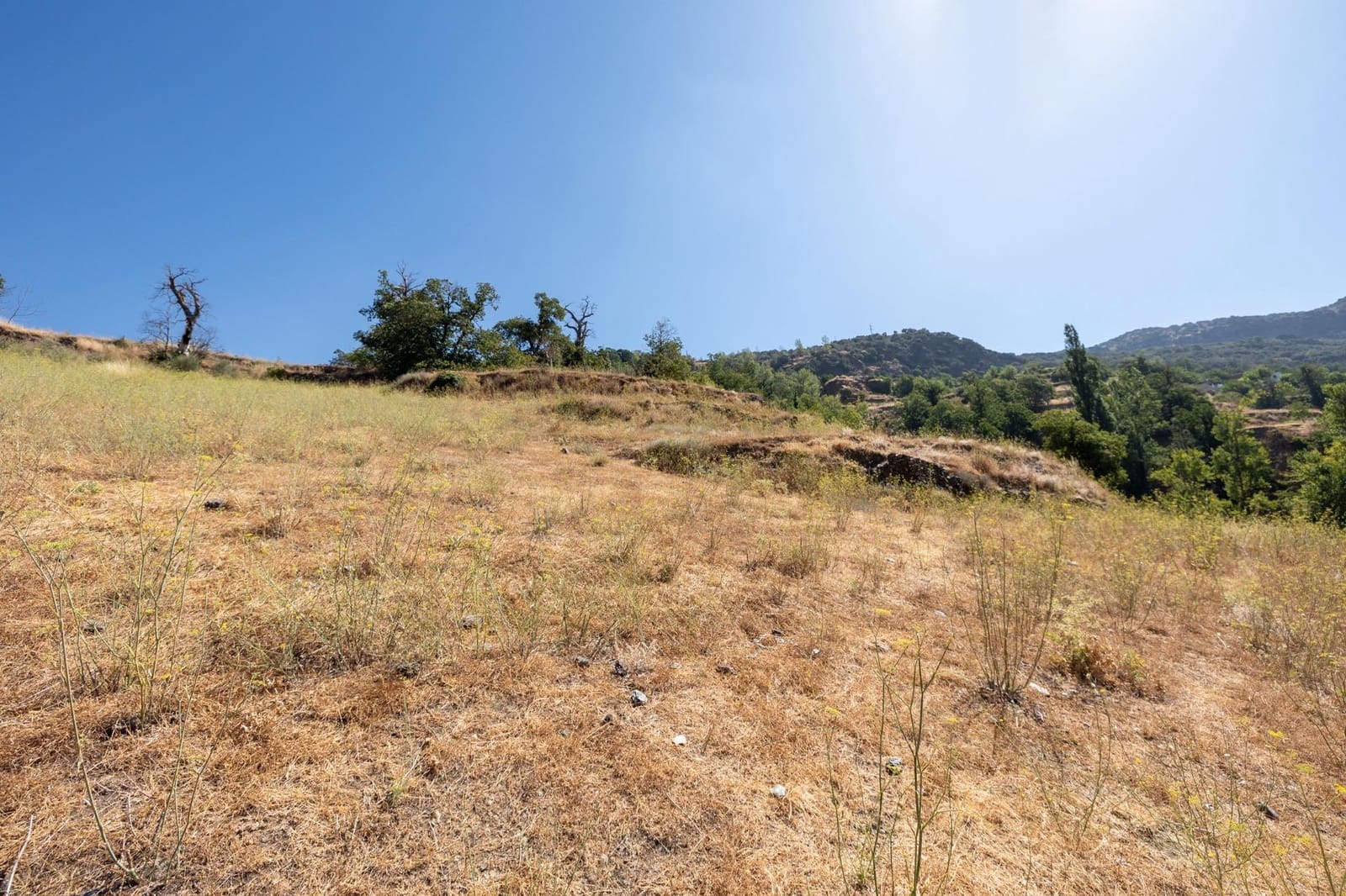 Terreno Non Edificato in vendita in Bubion - 60.000 € (Rif: 8498699)