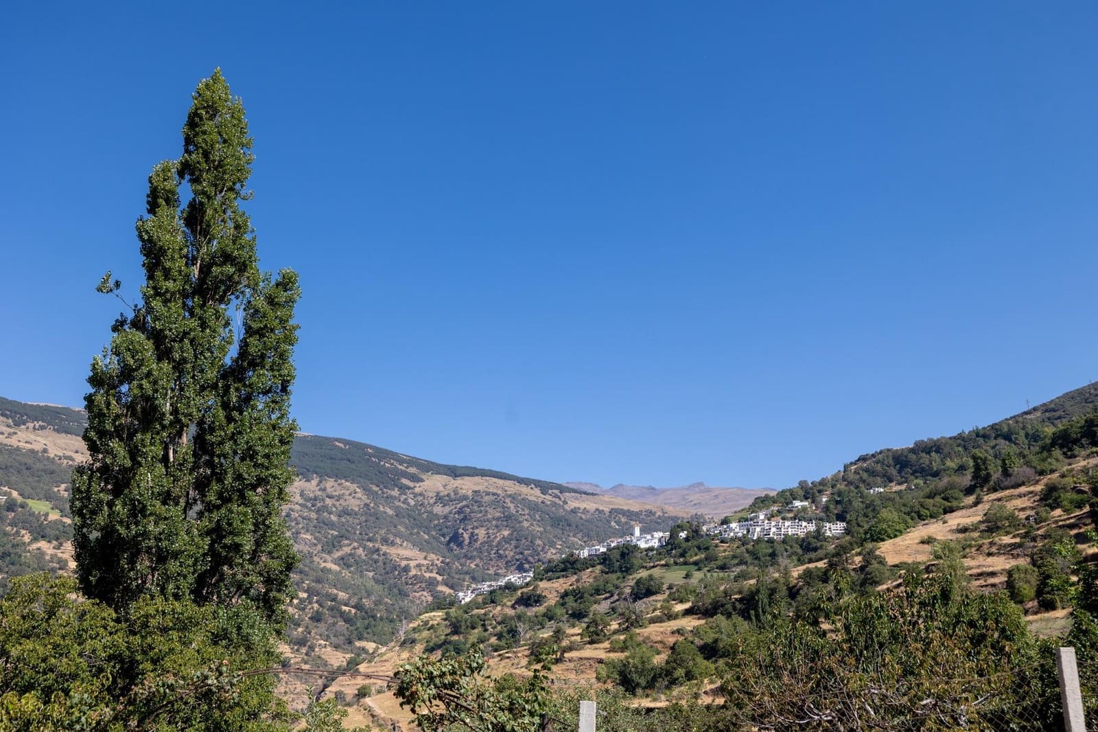 Terreno Non Edificato in vendita in Bubion - 60.000 € (Rif: 8498699)