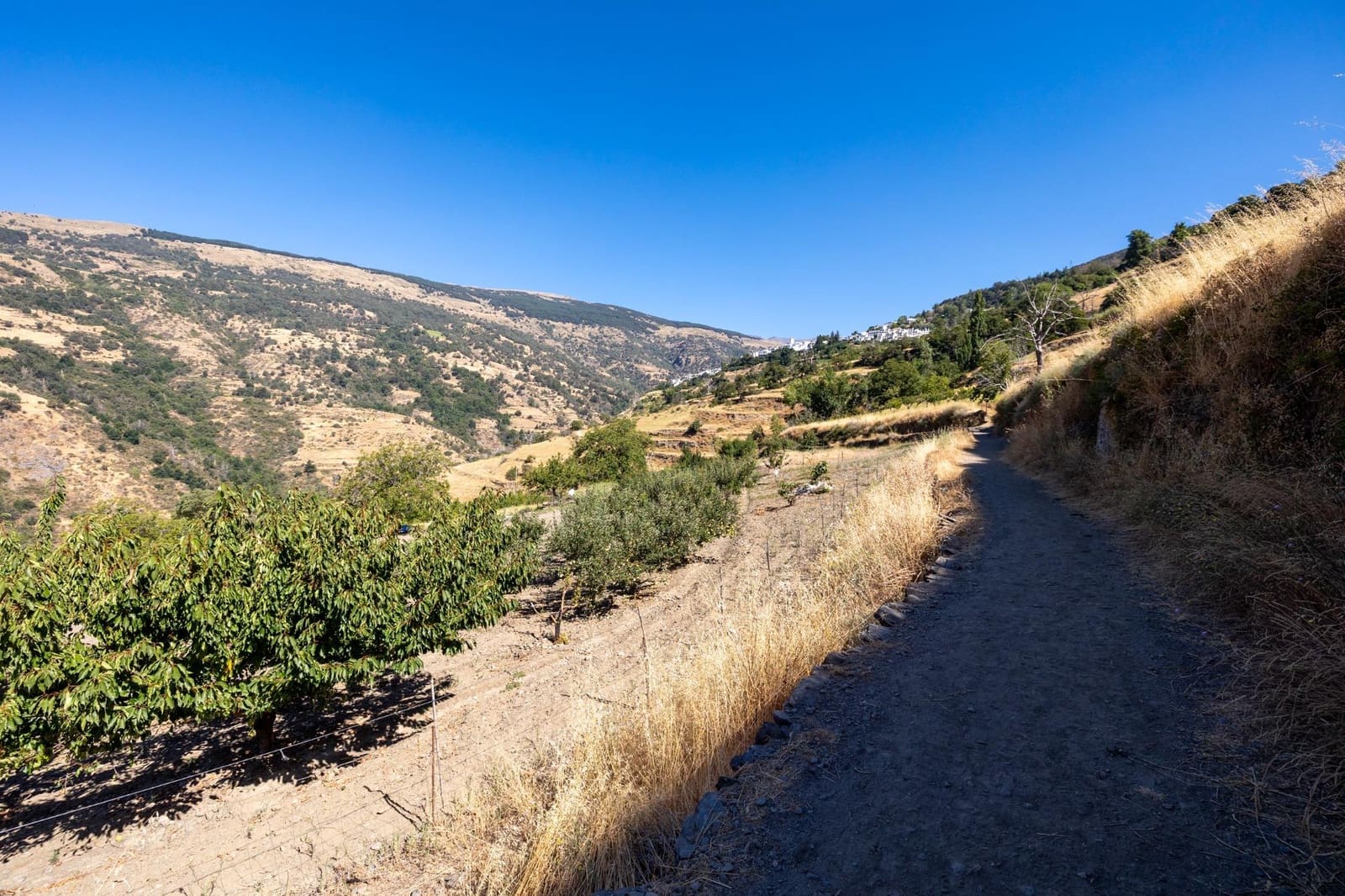 Terreno Non Edificato in vendita in Bubion - 60.000 € (Rif: 8498699)