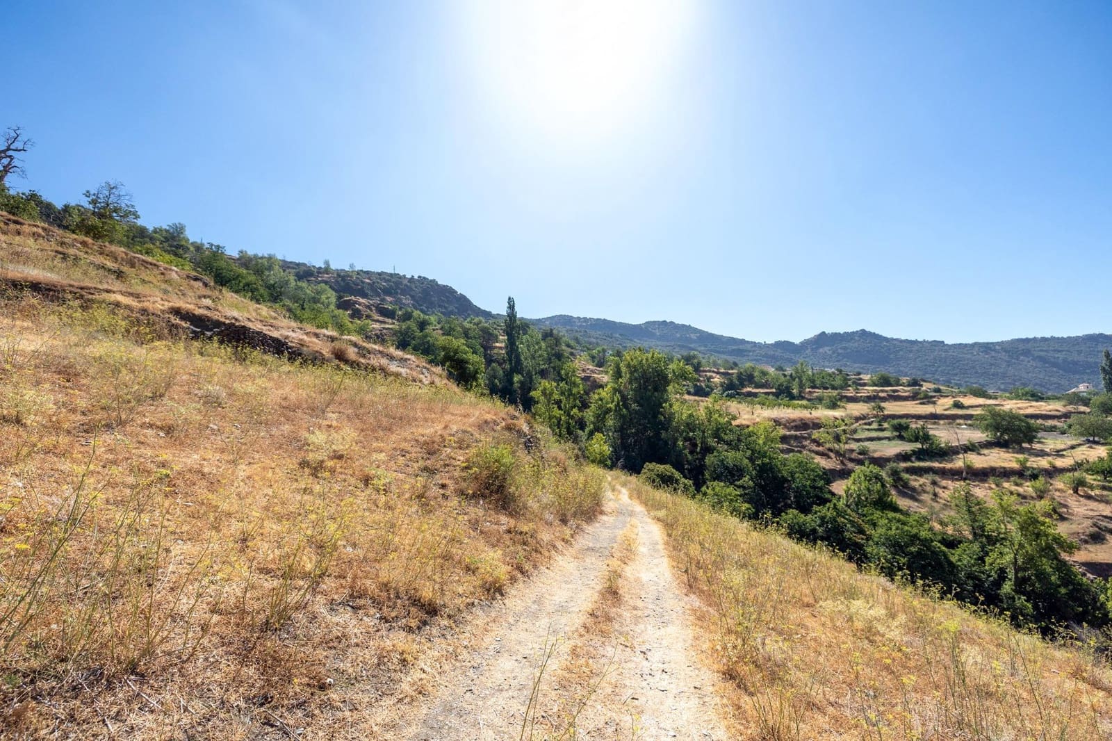 Terreno Non Edificato in vendita in Bubion - 60.000 € (Rif: 8498699)