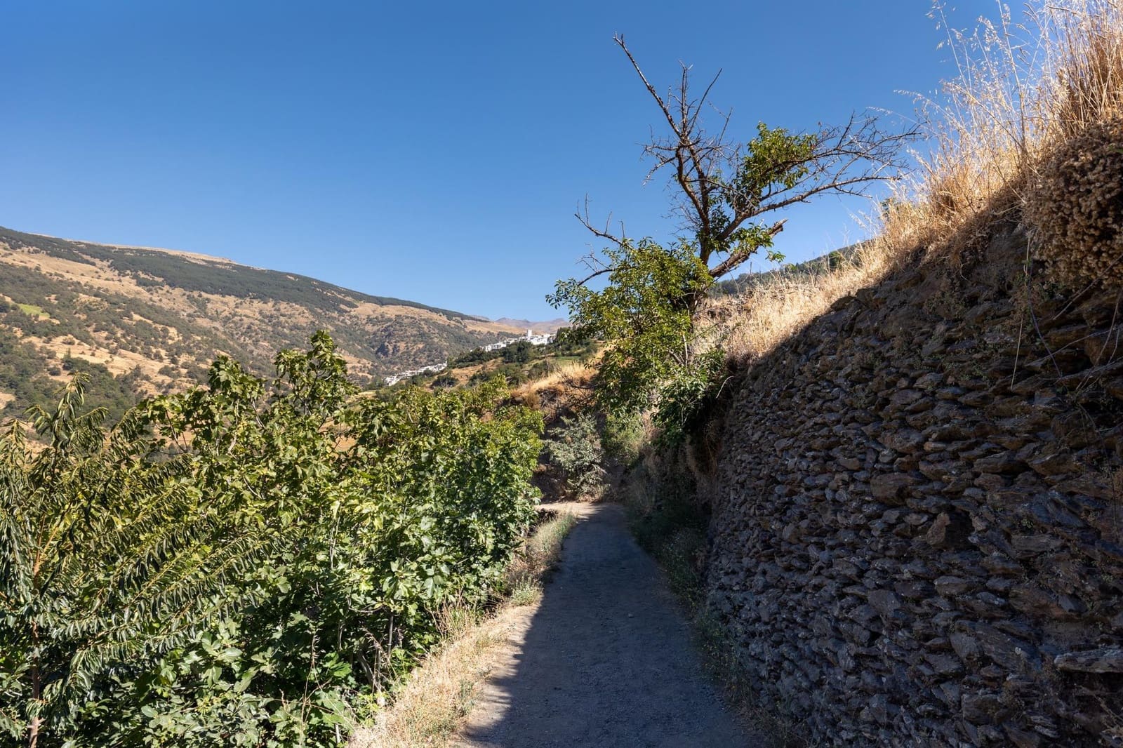 Terreno Non Edificato in vendita in Bubion - 60.000 € (Rif: 8498699)