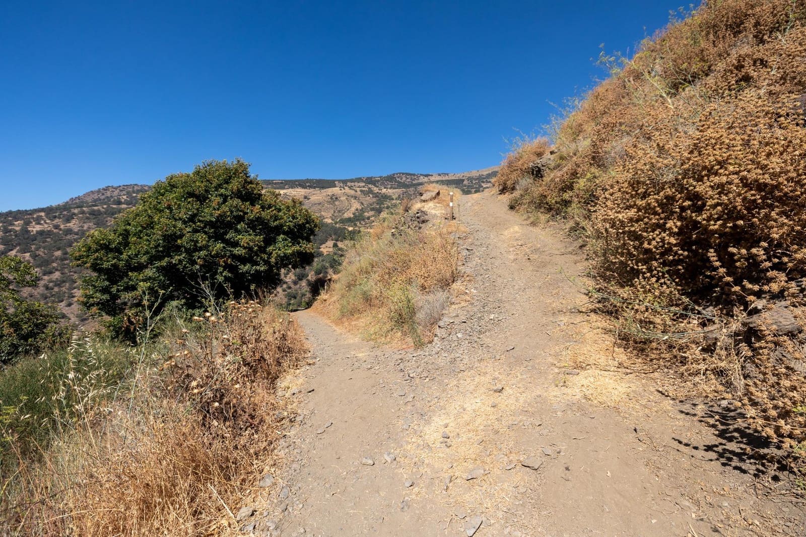 Terreno Non Edificato in vendita in Bubion - 60.000 € (Rif: 8498699)