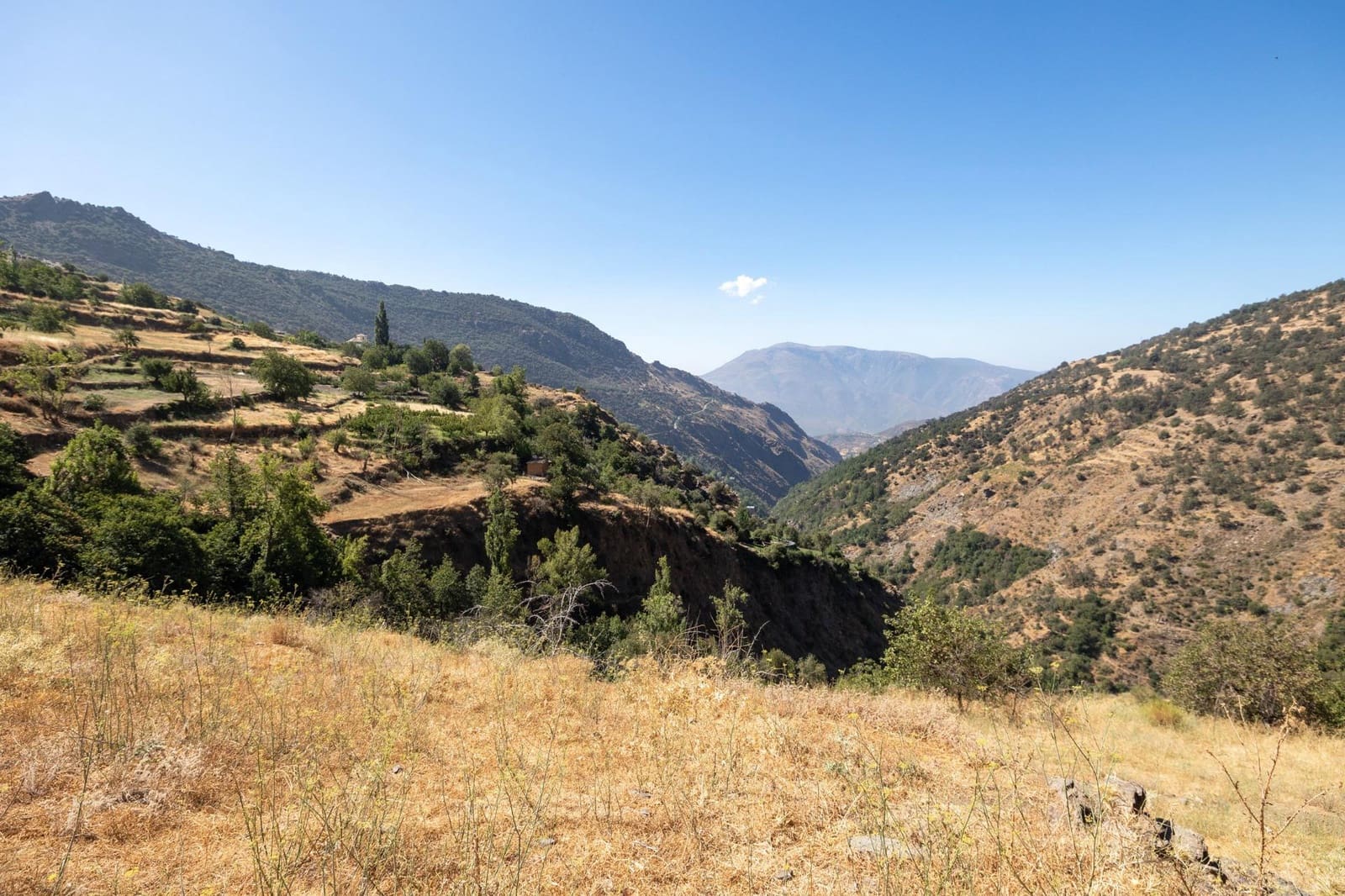 Terreno Non Edificato in vendita in Bubion - 60.000 € (Rif: 8498699)