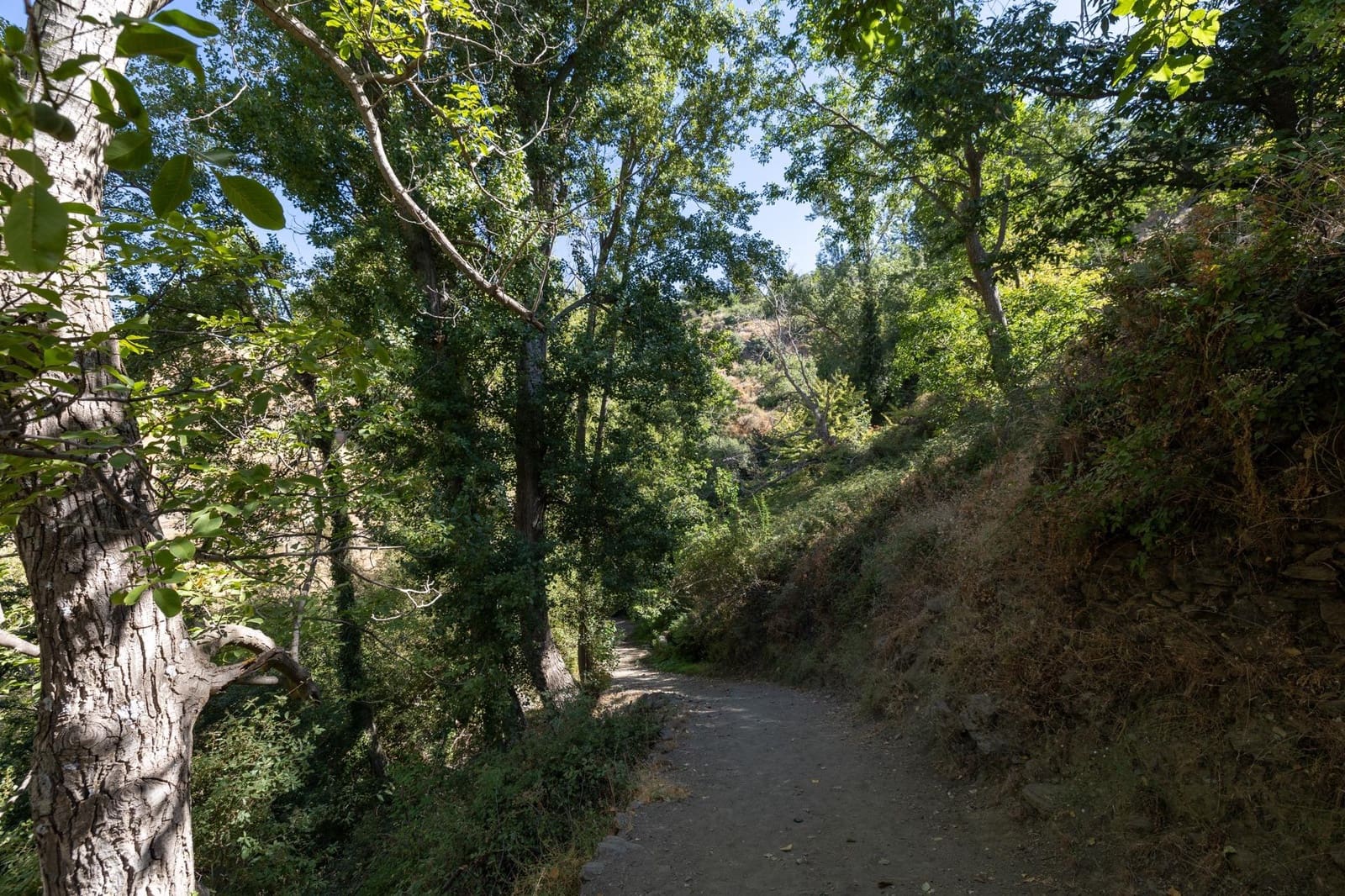 Terreno Non Edificato in vendita in Bubion - 60.000 € (Rif: 8498699)