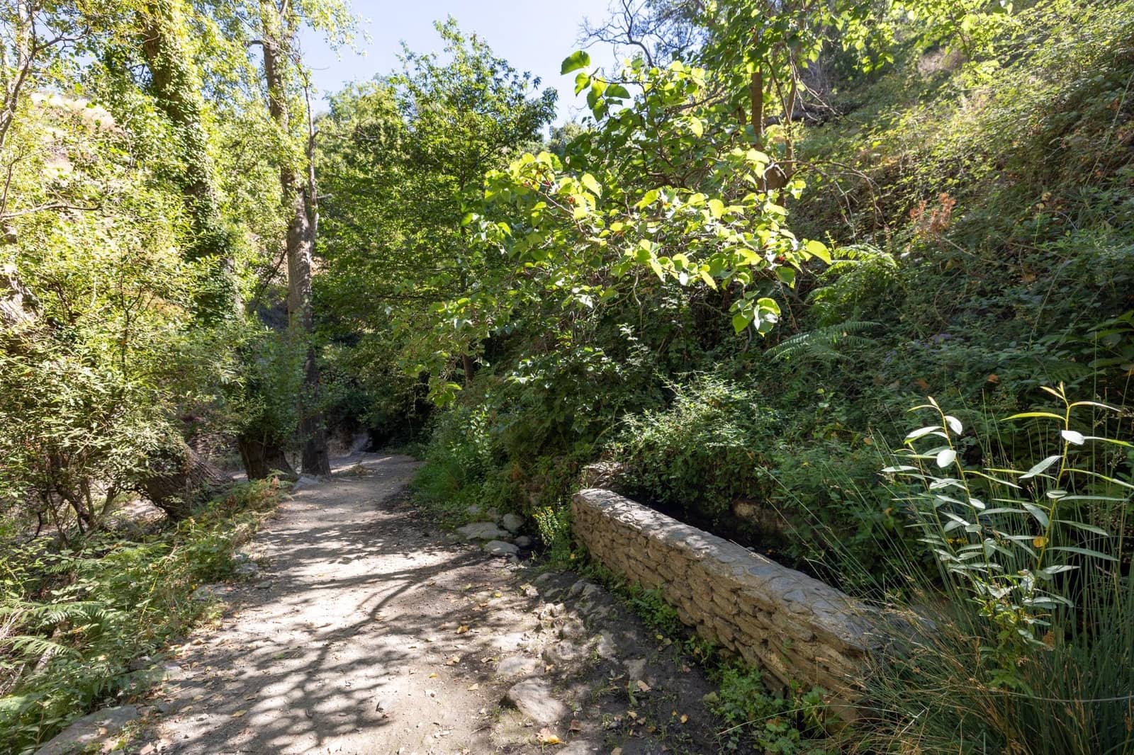 Terreno Non Edificato in vendita in Bubion - 60.000 € (Rif: 8498699)